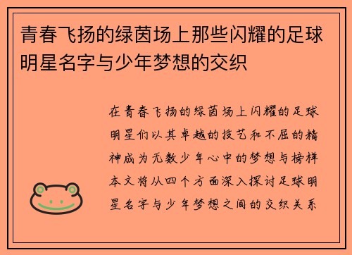 青春飞扬的绿茵场上那些闪耀的足球明星名字与少年梦想的交织